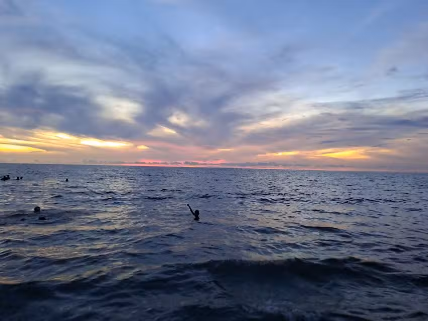 Vig&iacute;a del Mar