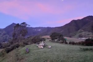 Villa Carmen Elisa Fosca