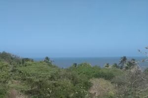 Villa Las Margaritas