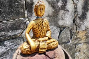 Villa Paraiso Eco Hostel