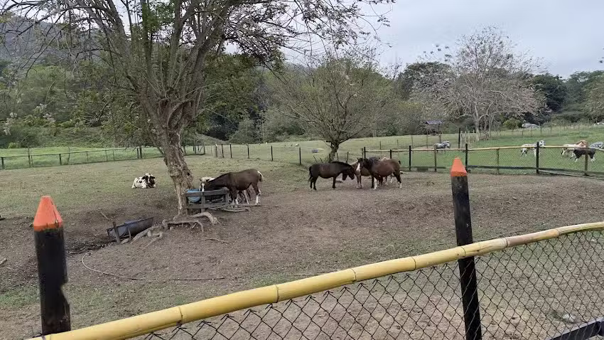 Villas de Santa Cruz