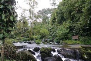 vinotinto posada rural