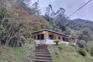 Willendorf &ndash; El Eden