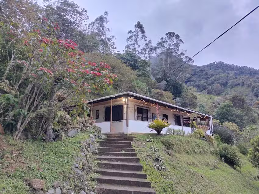 Willendorf &ndash; El Eden