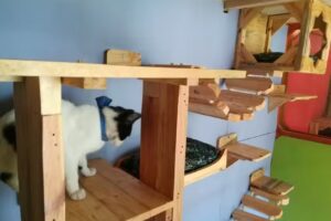 Xcapet Hotel Y Guarderia Para Mascotas