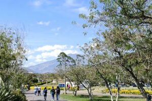 Zona Alojamiento, Comfamiliar