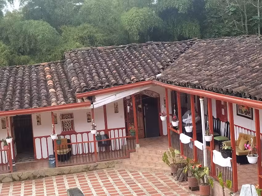 Zona camping bareque