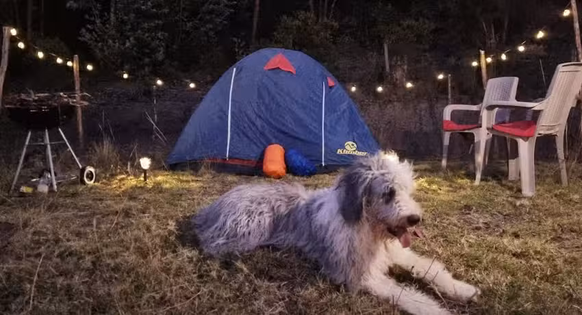 Zona de Camping NaturaLove